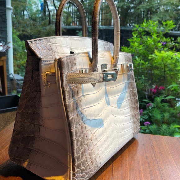 Hermes Bags Hermes Himalaya Birkin 25 New Poshmark